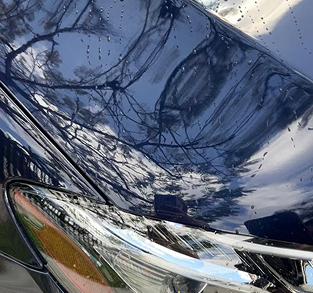 Car Sealant Package